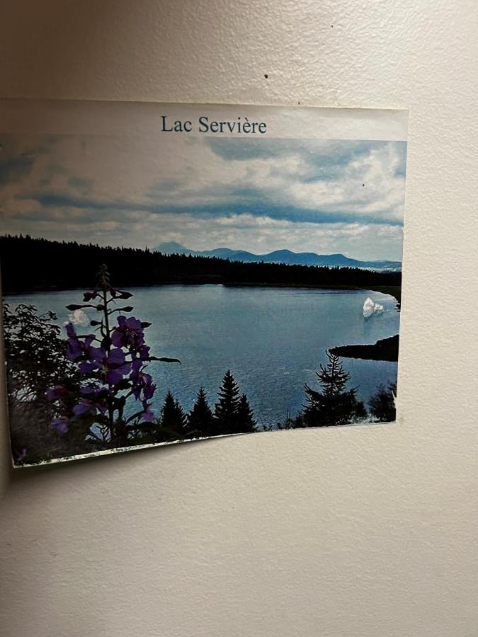 Super-Besse Residence Le Lac Bleu Serviere Chez Lorenzo Et Severine ภายนอก รูปภาพ
